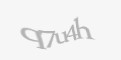 Защитный код