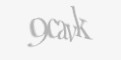 Защитный код