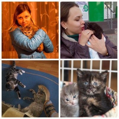 Новости приюта.