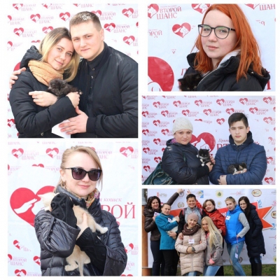 Новости приюта.