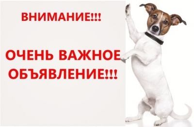 ОБЪЯВЛЕНИЕ!