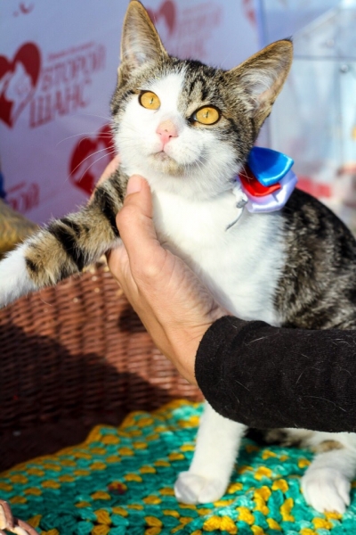 Карима