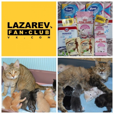 Наши благодарности!