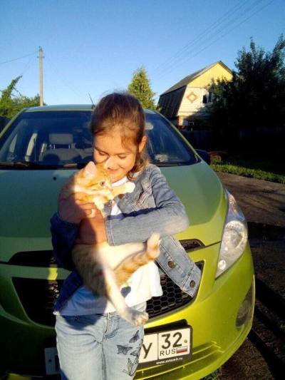 Зевс дома