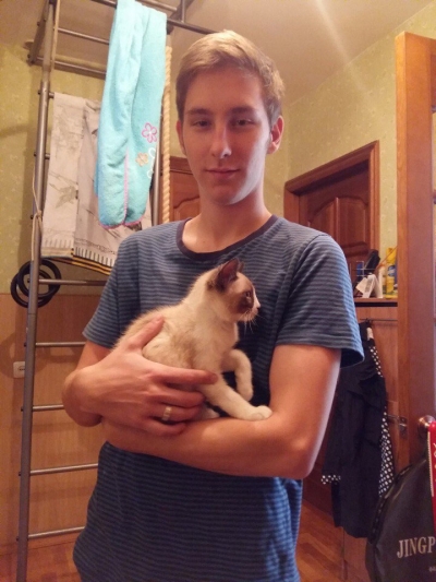 Котята дома