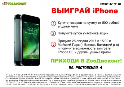 Фестиваль Happy cat