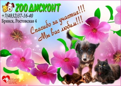 Наши благодарности!