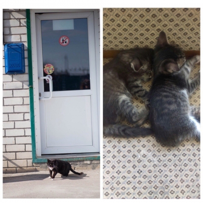 Новенькие.