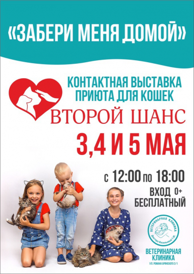Выставка кошек приюта!
