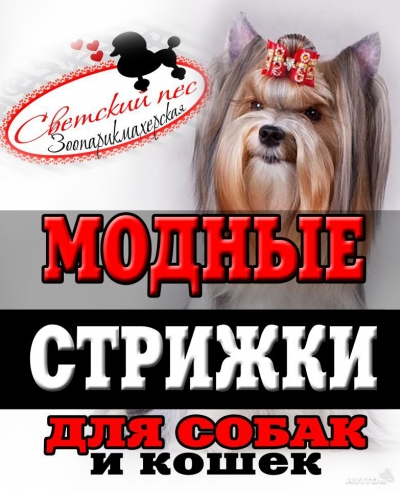 Встречаем лето с модной стрижкой!