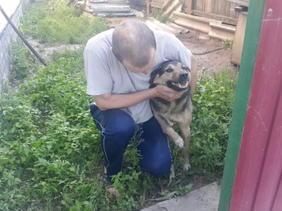 Пес дома