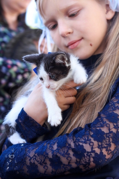Шарфик
