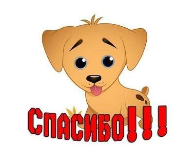 Наши благодарности!
