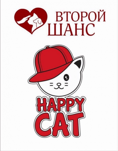 Фестиваль